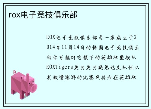 rox电子竞技俱乐部